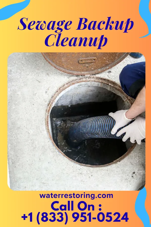 Sewage Backup Cleanup in Corbin, KY