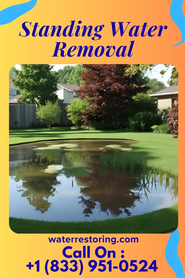 Standing Water Removal in Corbin, KY